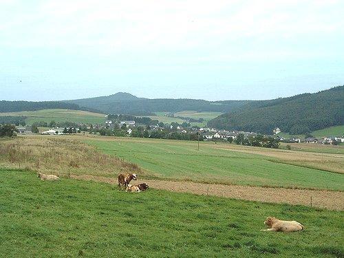 Fliederhof Ferienwohnungen Herresbach Chambre photo